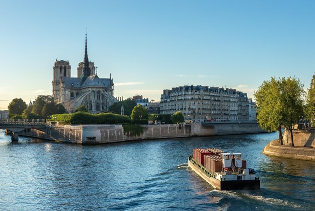 Gothic style of Notre Dame in Paris at sunset