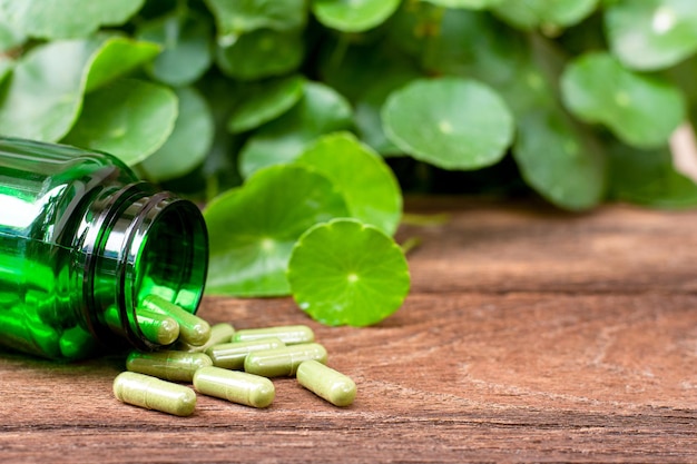 Gotu Kola capsules en bladeren (Centella asiatica) geïsoleerd op wit