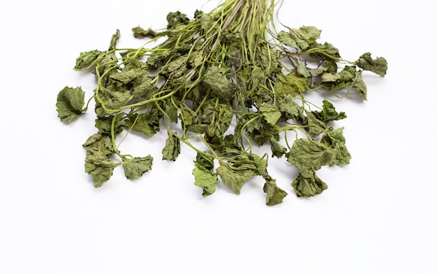 Gotu Kola dried Leaves on white background.