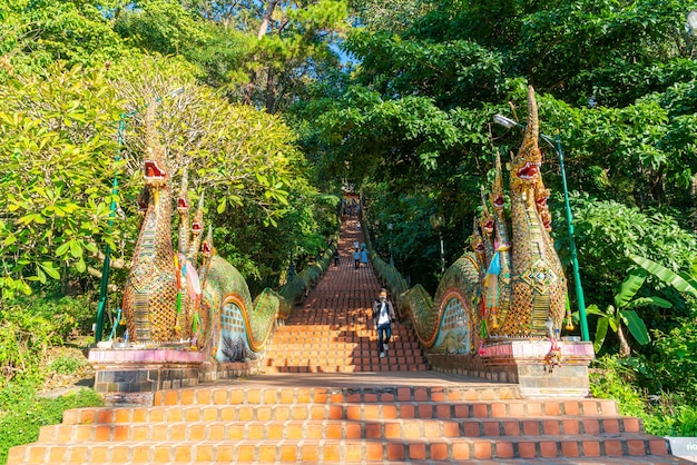 Gouden berg bij de tempel in Wat Phra That Doi Suthep in Chiang Mai, Thailand.