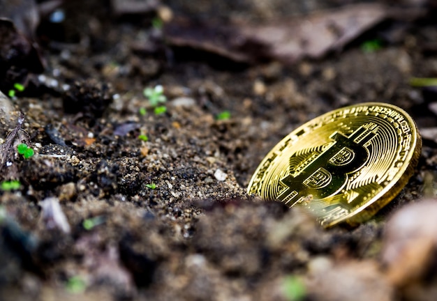 Gouden bitcoin in de grond