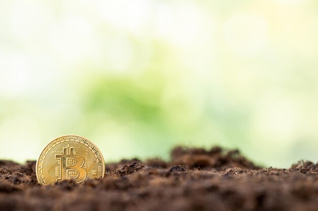 Gouden bitcoin op grond achtergrond cryptocurrency concept