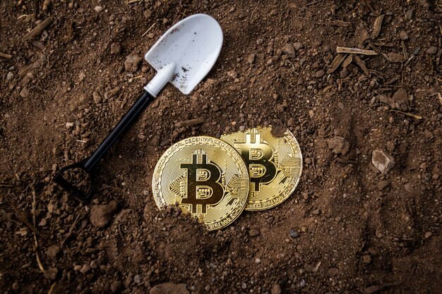 Gouden Bitcoins met een schop op de grond