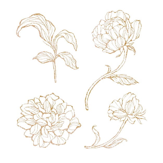 Gouden bloemencontour set transparante png