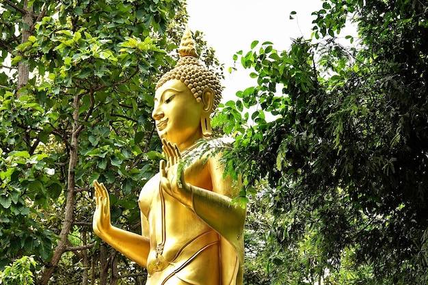 Foto gouden boeddha vallende groene weelderige bomen