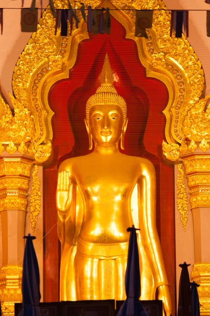 Gouden Boeddhabeeld in de kerk, Thailand