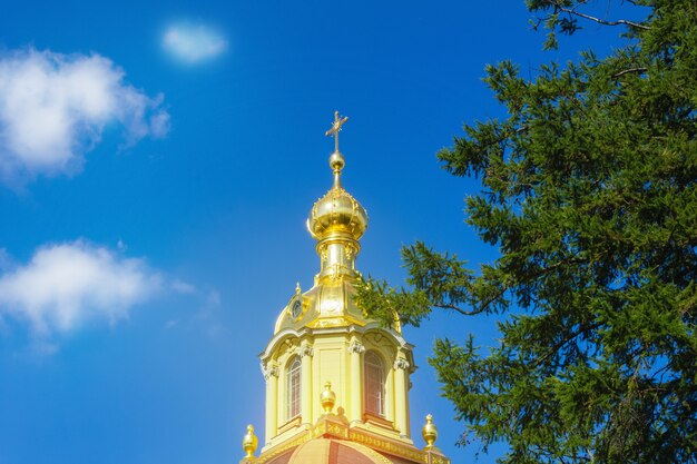 Gouden bovenkant van een christelijk-orthodoxe kerk, koepel en kruis tegen blauwe lucht met witte wolken en takken van groene naaldboom