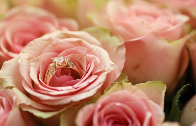 Gouden diamanten verlovingsring in een prachtige roze roos bloem onder een grote hoeveelheid rozen in een grote