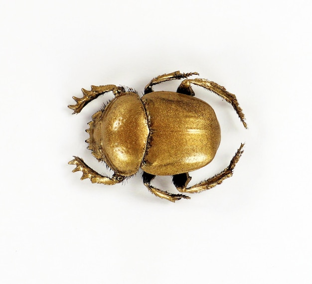 Gouden heilige mestkever, scarabeus bedekt met goud geïsoleerd op witte achtergrond macro close-up
