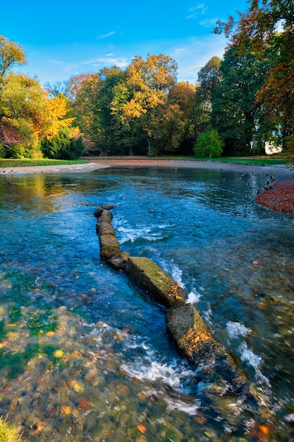 Gouden herfst herfst oktober in de beroemde ontspanningsplaats van München englishgarten munchen beieren duitsland