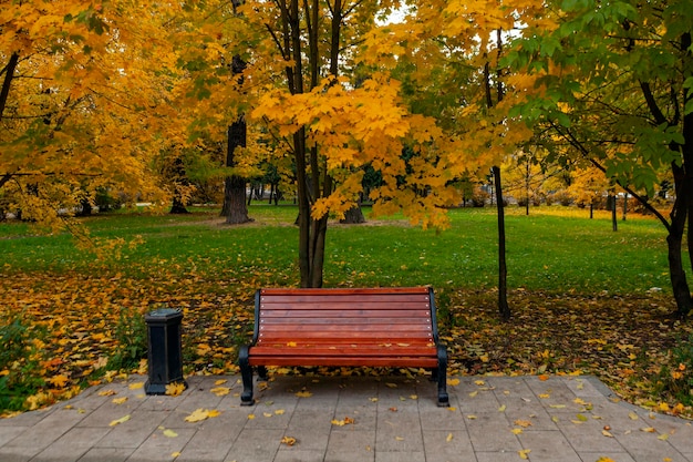 Gouden herfst in het park van Moskou. gele bladeren op de stoep.