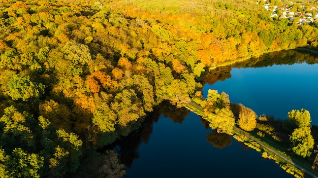 Gouden herfst, luchtfoto van bos met gele bomen en meer landschap van bovenaf