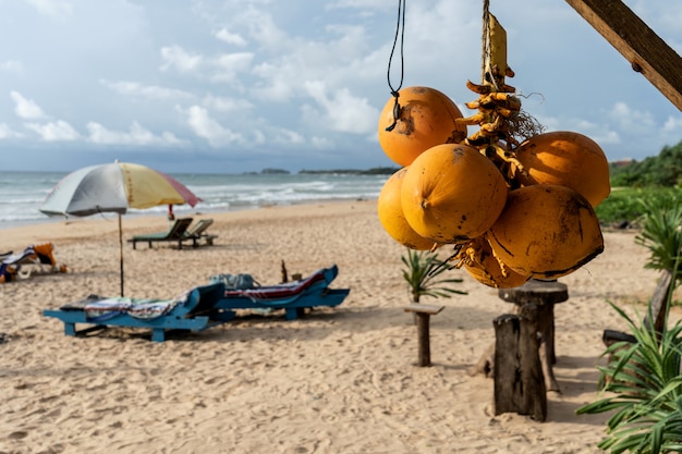 Foto gouden kokosnoten op het strand