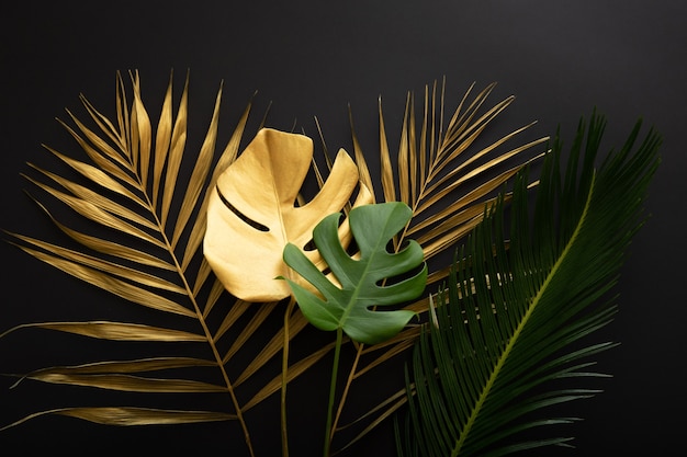 Gouden palmblad en groene verse tropische monstera verlaten textuur op donkere zwarte achtergrond. Geschilderde bladgoud en groene tropische planten op zomer bloemen achtergrond.