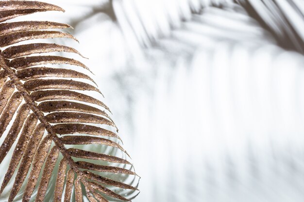 Foto gouden palmbladeren en schaduwen op een blauwe muur.