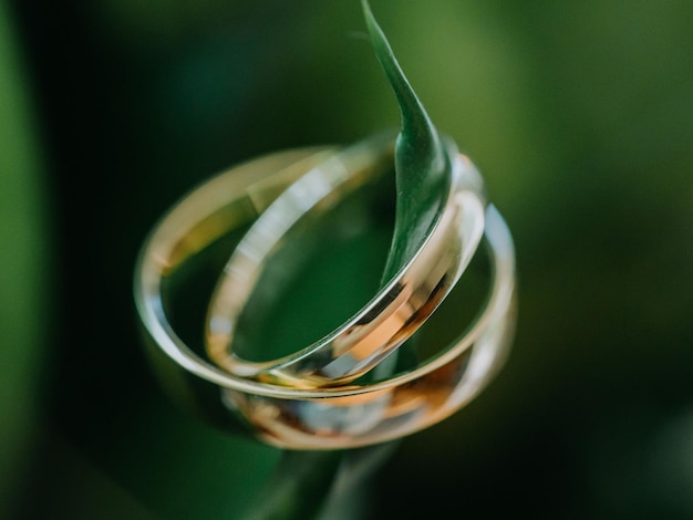 Gouden ringen op groene bladachtergrond