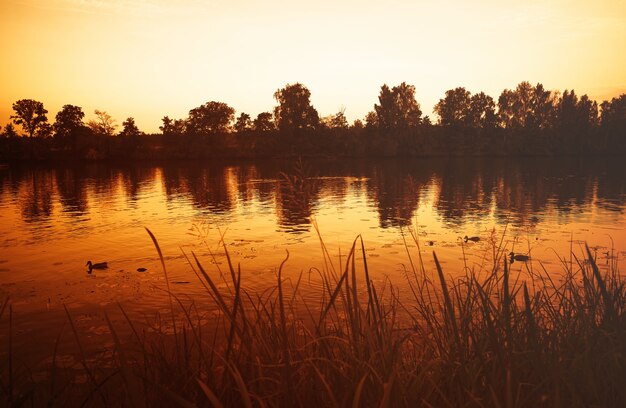 Gouden rivier zonsondergang landschap achtergrond