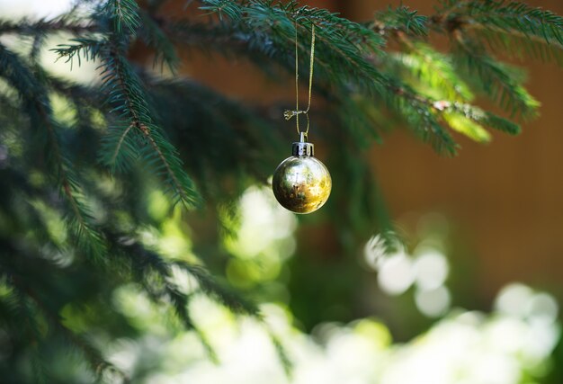 Gouden speelgoedbal van kerstmis het hangen op tak van een bont-boom