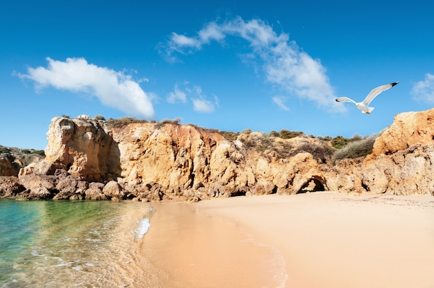 Foto gouden stranden van albufeira, portugal