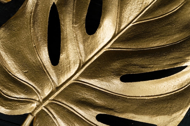 Gouden tropisch monsterablad op zwarte achtergrond close-up