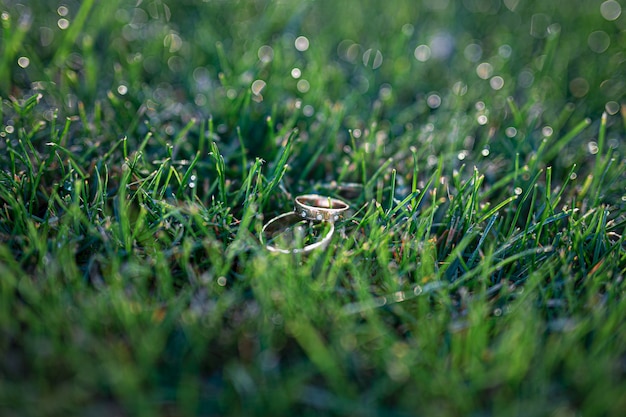 Gouden trouwringen op het gras