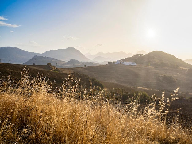 Gouden uur in een landschap met weilanden in de bergen van Torcal Malaga in Spanje Rustig landschap