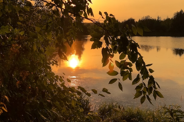 Gouden uur op meer met zon schijnt door boomgebladerte