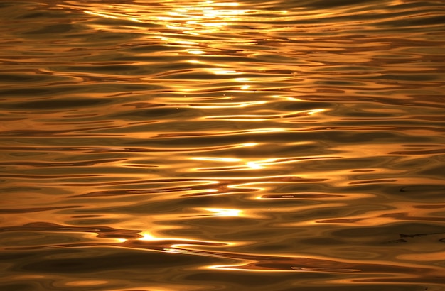 Gouden wateroppervlak met reflecties van het zonlicht