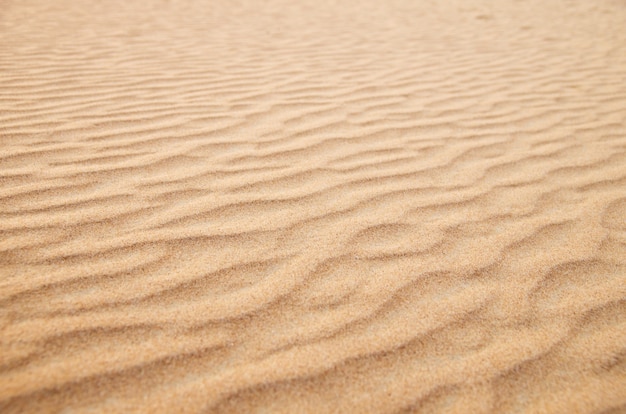 Gouden woestijn in de zonsondergang. Zand textuur.