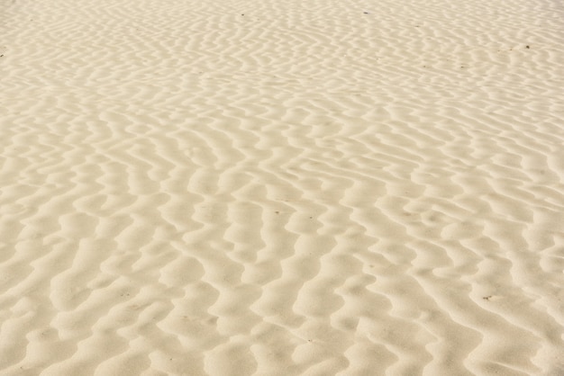 Gouden woestijnduinen