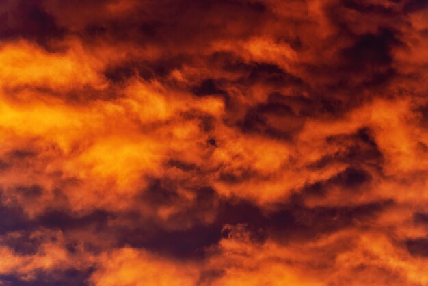 Gouden wolken verlicht door verdwijnende stralen bij zonsondergang drijvend over dramatische donkere violette en paarse onweerswolken in de lucht om het weer te veranderen. Natuurlijke meteorologie achtergrond. Bewegingsonscherpte, zachte focus