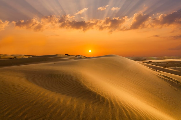 Gouden zand en duinen van de woestijn Mongolië