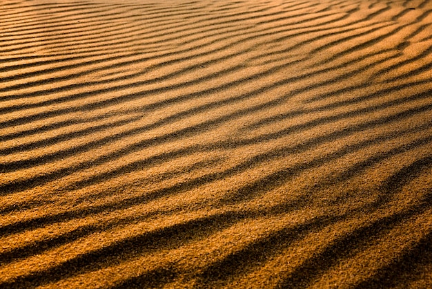 Foto gouden zand
