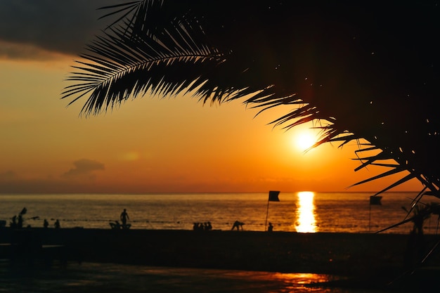 Gouden zonsondergang en schaduw van palmbomen