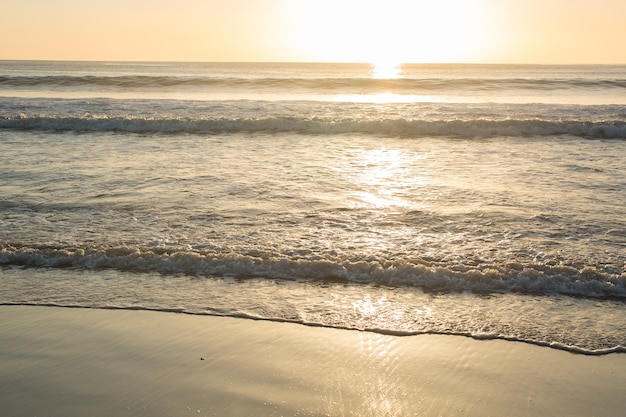 Gouden zonsondergang op de kust