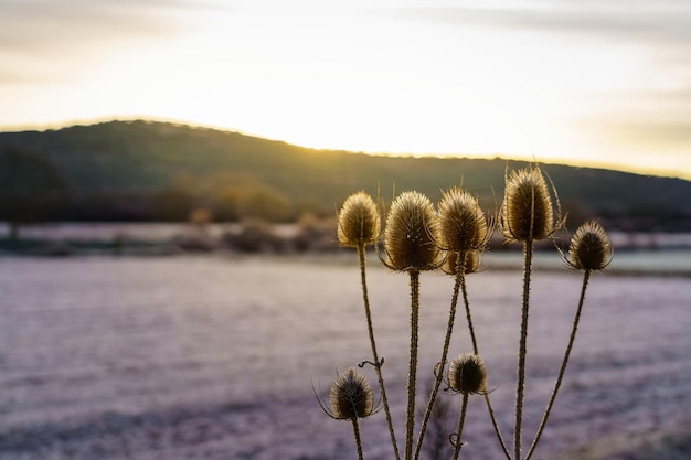 Gouden zonsopgang boven de bergen op een zeer koude dag met het landschap bevroren door ijs