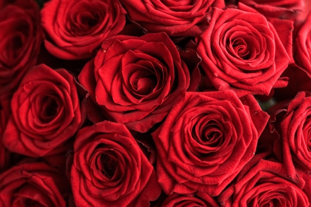 Gourgeous luxeboeket van rode rozenbloemen in bloei als bloemenvakantieachtergrond