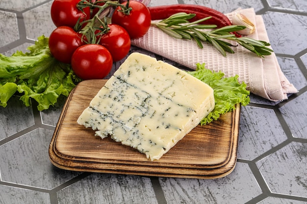 Gourmet blue cheese with mold