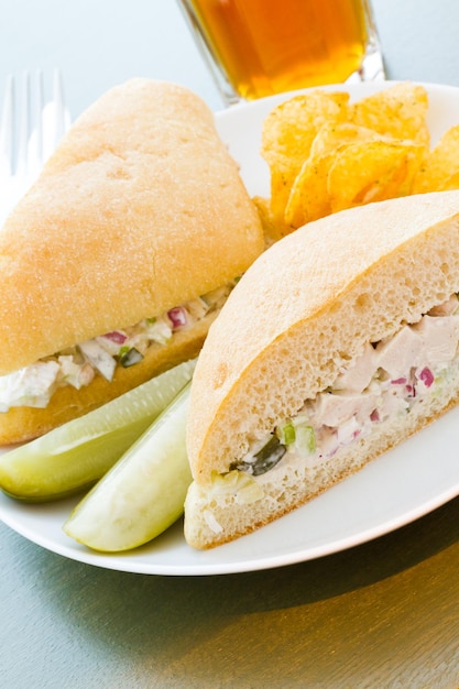 Gourmet chicken salad sandwich with chips on the side.