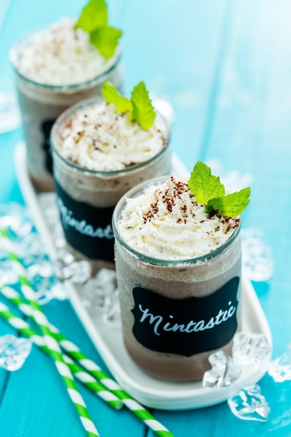 Gourmet cold mintastic chocolate drink garnished with cocoa powder and mint.