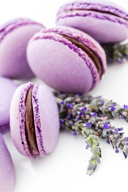 Gourmet small colorful French macarons with lavender flavor.