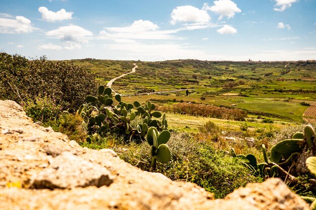 Foto isola di gozo, malta