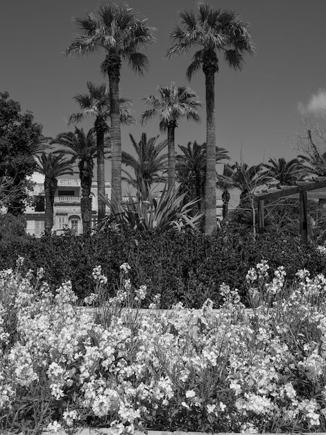 Gozo island