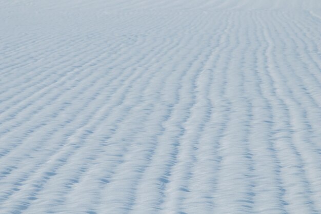 Graan veld sneeuw bedekt. landbouwgebied onder sneeuw.