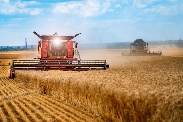 Graanoogst combineren op een zonnige dag Geel veld met graan Landbouwtechniek werkt in het veld