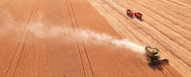 Graanoogst oogstmachine oogsten in het veld