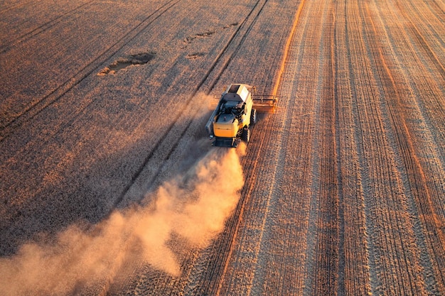 Graanoogst oogstmachine oogsten in het veld