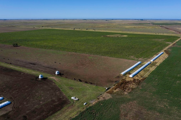 Graanopslag in silozakken in La Pampa, Argentinië