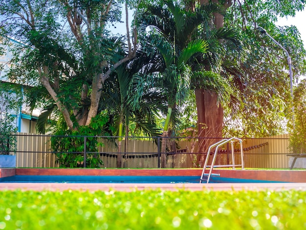 Grab bars ladder in outdoor swimming pool with tropical palm tree in the garden
