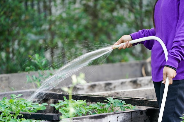 Gradenarbeider die de plant in de tuin verzorgt